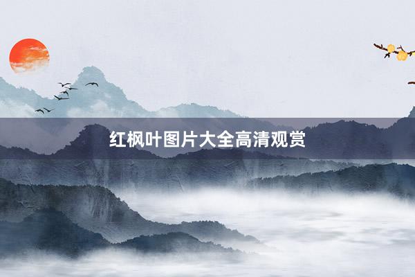 红枫叶图片大全高清观赏