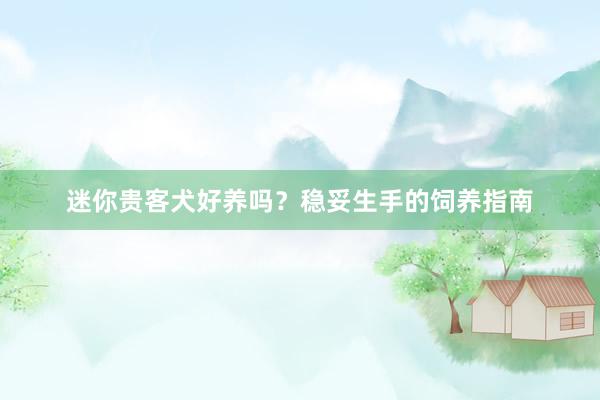 迷你贵客犬好养吗？稳妥生手的饲养指南