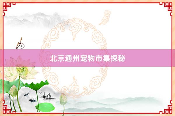 北京通州宠物市集探秘